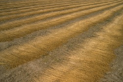 Devis isolation naturelle lin illustration