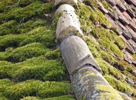 Entretien toiture illustration